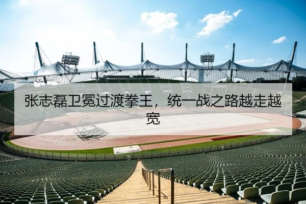张志磊卫冕过渡拳王，统一战之路越走越宽